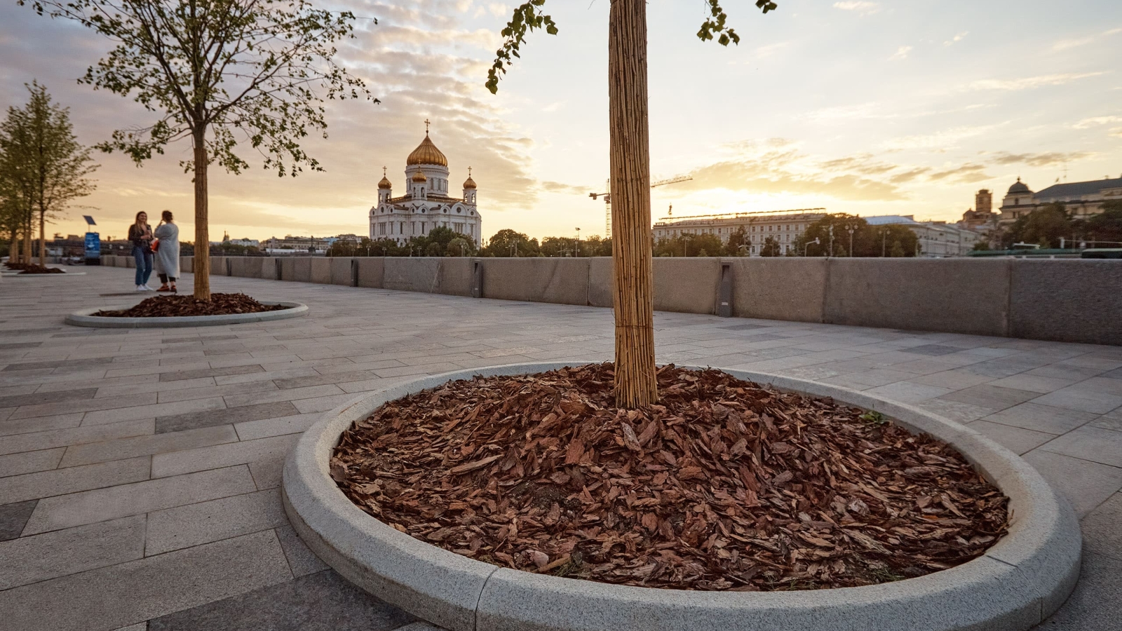 кадки в благоустройстве (5)